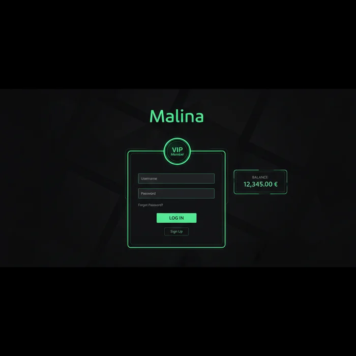 Écran de connexion Malina — champ email, mot de passe et option 2FA